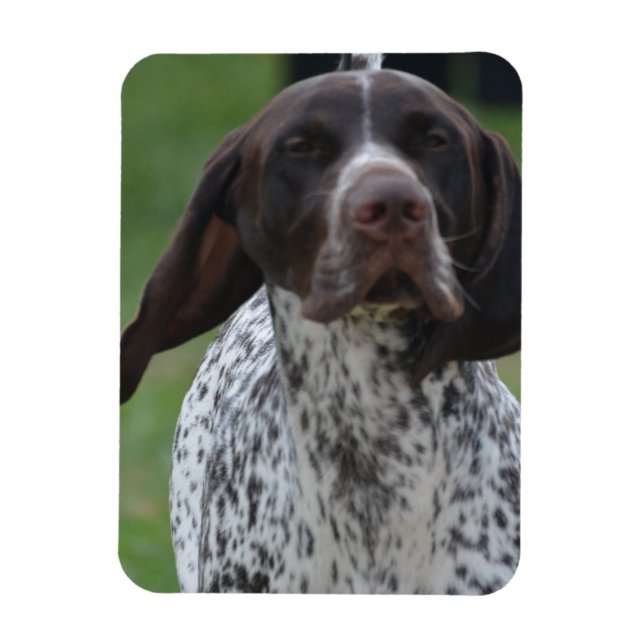 Imán Producto personalizar (Vertical)