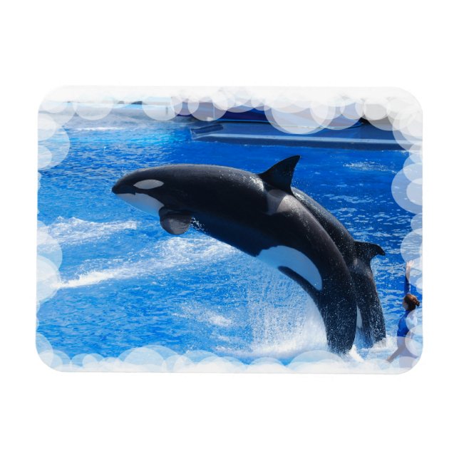 Imán Producto personalizar (Horizontal)