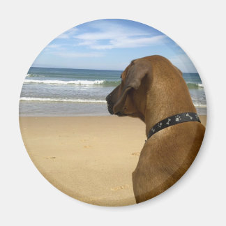Imán Productos Ridgeback de Rhodesia