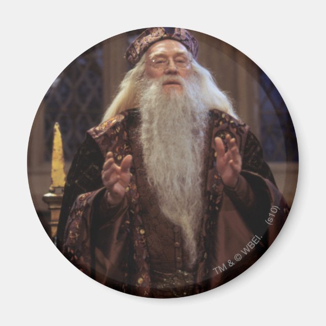 Imán Profesor Dumbledore (Frente)