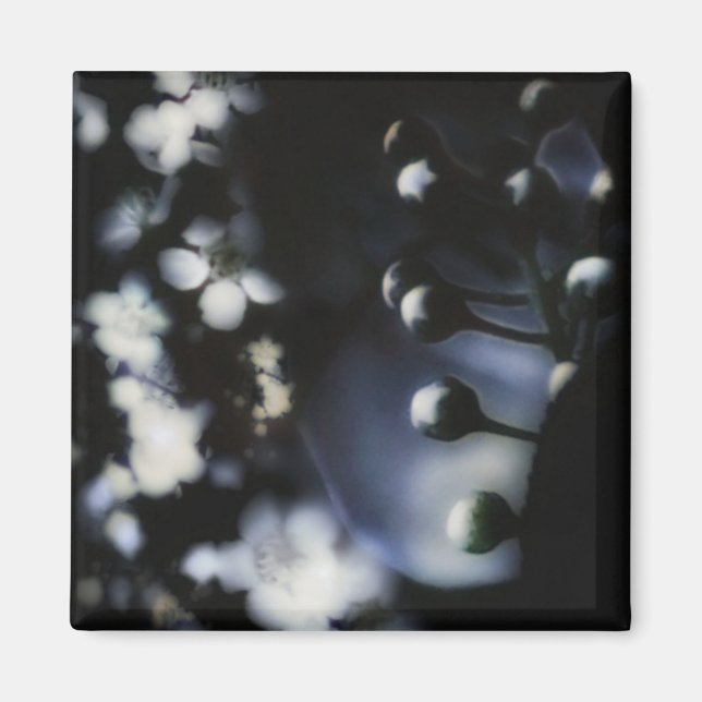 Imán Profundidad floral (Frente)