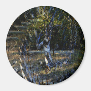 Imán Profundo en el bosque.......