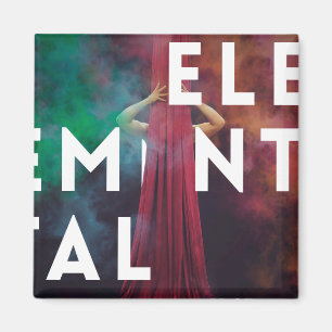 Imán Programa Elemental de Artes Versátiles Poster Mag
