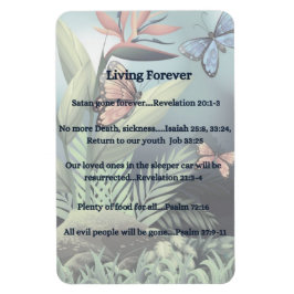 Imán Promesa futura