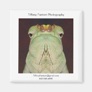 Imán Promo de Gatsu