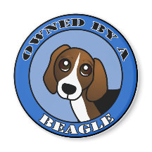 Propiedad de A Beagle - Azul