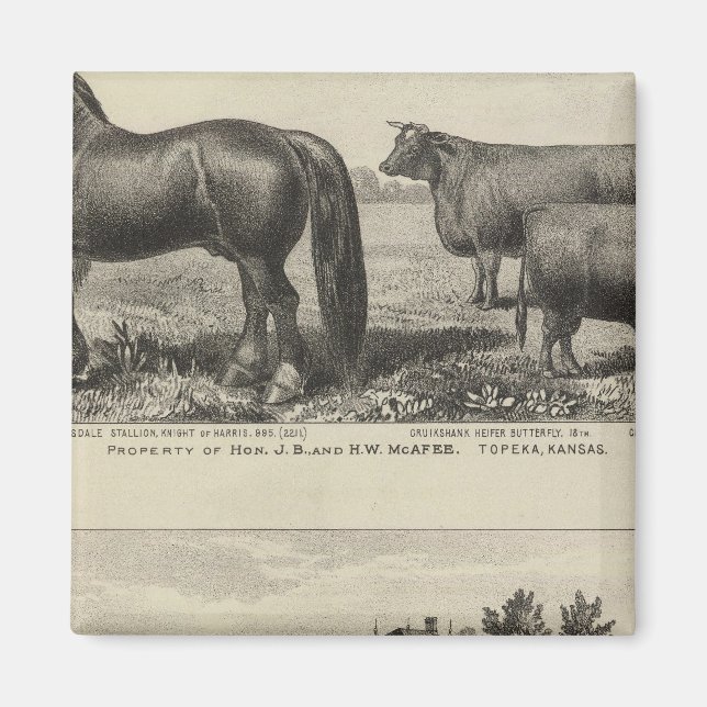 Imán Propiedad McAfee, Topeka McCrumb, Kansas (Frente)