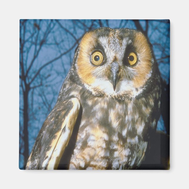 Imán Propio espinoso (Frente)