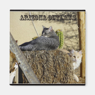 Imán Proscritos de Arizona