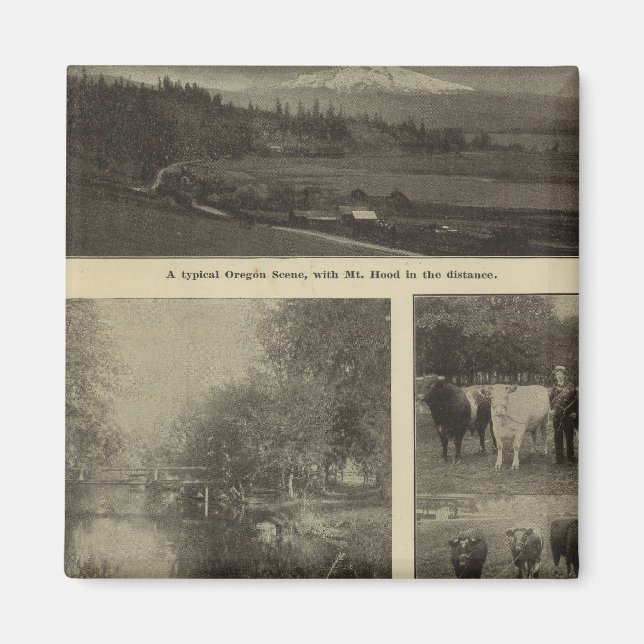 Imán Prosperidad, abundancia en Oregón (Frente)