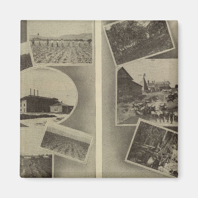 Imán Prosperidad agrícola, Oregón (Frente)