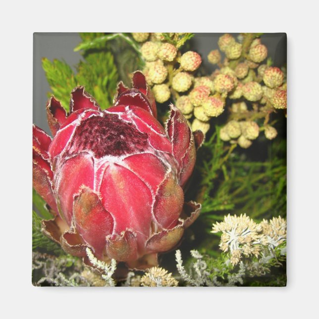 Imán Protea Bouquet (Frente)