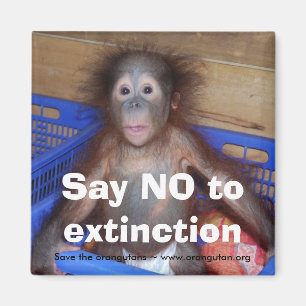 Imán Protección del orangután