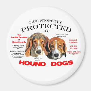 Imán Protegido por perros hondos