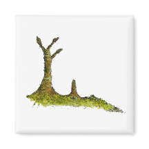 Prototaxitas Lichens Magnet