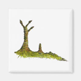 Imán Prototaxitas Lichens Magnet