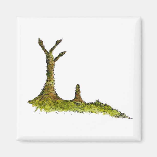 Imán Prototaxitas Lichens Magnet (Frente)