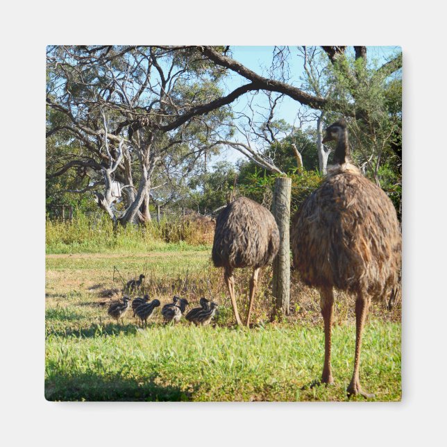 Imán Proud Emu Parents, Fridge Magnet (Frente)