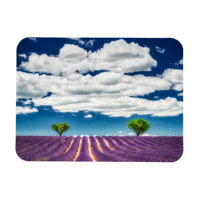 Imán Provenza (Horizontal)