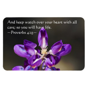 Imán Proverbios 4:23