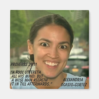 IMÁN PROVERBS 29:11