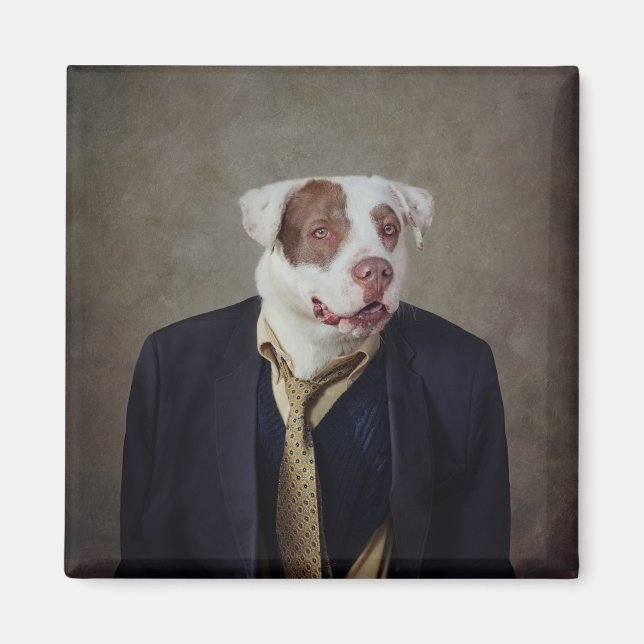 Imán Proyecto de Mascotas de refugio - Casanova (Frente)