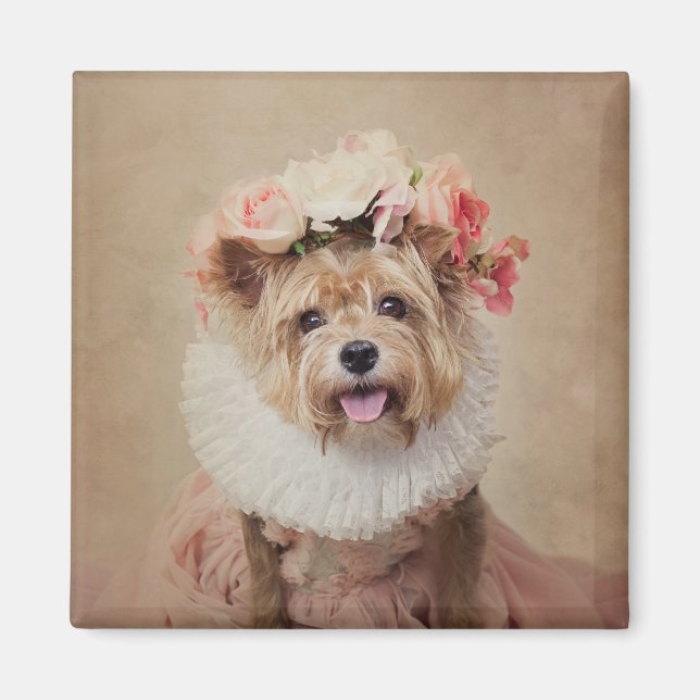 Imán Proyecto de Mascotas de refugio - Cricket (Frente)