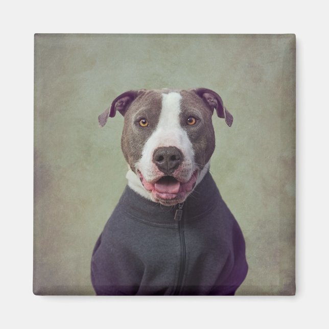 Imán Proyecto de Mascotas de refugio - Mayor Buen Niño (Frente)