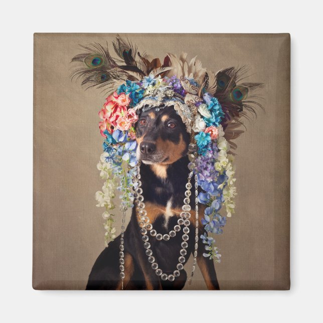 Imán Proyecto de Mascotas de refugio - Medianoche (Frente)