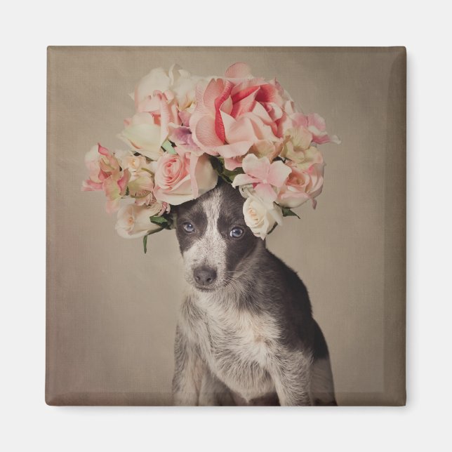 Imán proyecto de Mascotas de refugio - Opal (Frente)