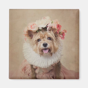 Imán Proyecto de mascotas del refugio - grillo