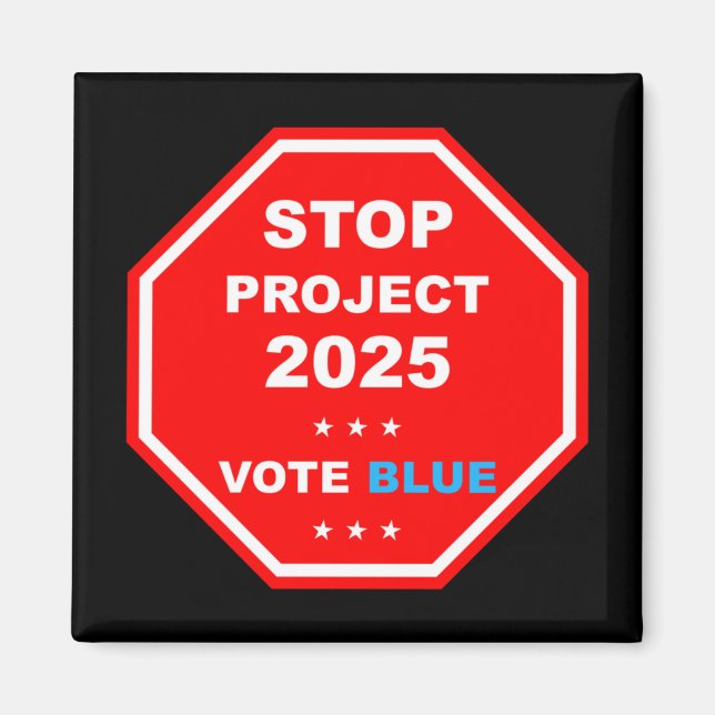 Imán Proyecto "Vote Salvemos la Democracia" 2025 (Frente)