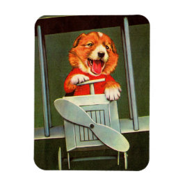 Imán prueba piloto de perros