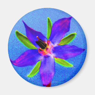Imán Psychedelic Borage Magnet