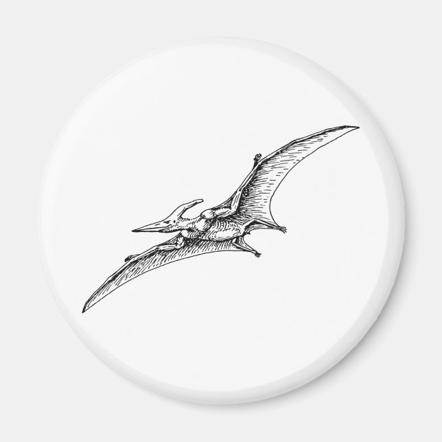 Imán Pterodáctilo (Frente)