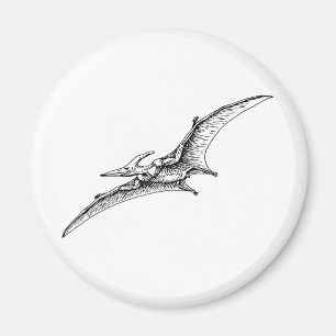 Imán Pterodactyl