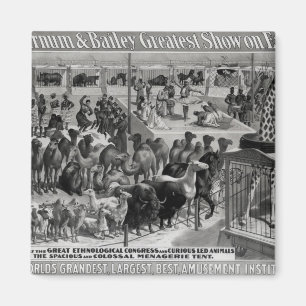 Imán Publicidad de poster, 'el Barnum y el Bailey