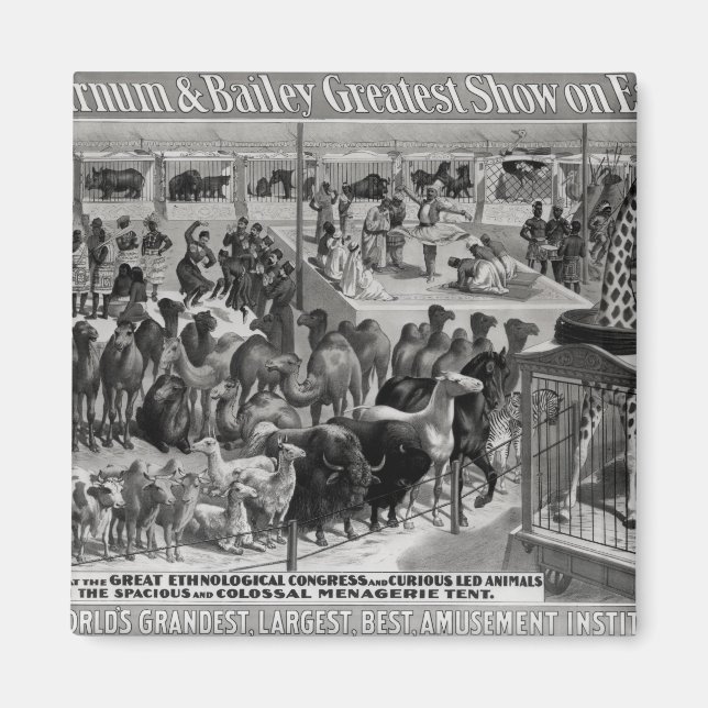 Imán Publicidad poster, 'The Barnum y Bailey (Frente)
