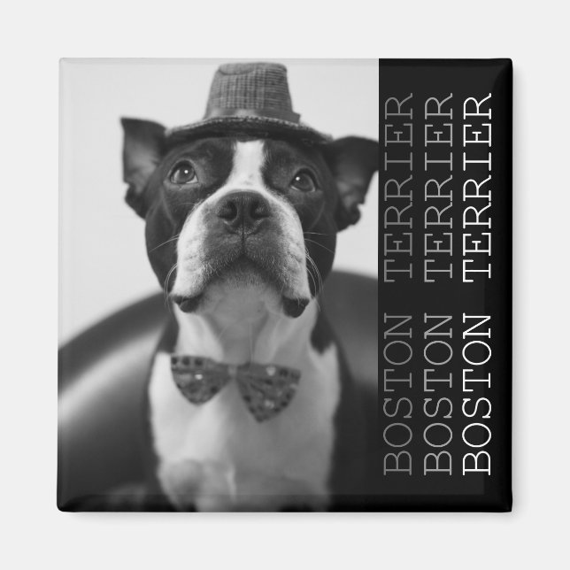 Imán Pucca Magnets B (Frente)