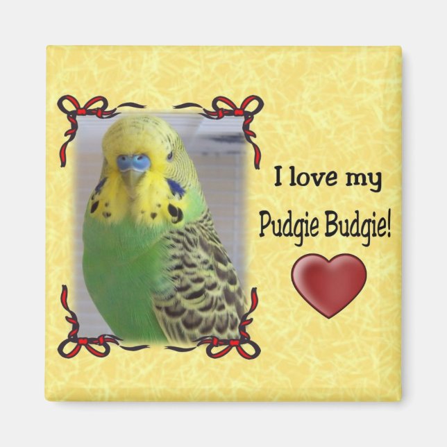 Imán Pudgie Budgie 3 (Frente)