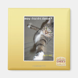 Imán ¿puede el haz SID de I bailar?