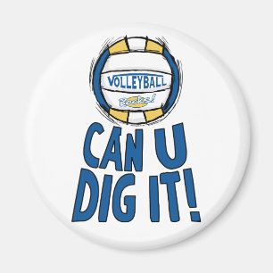 Imán ¿Puedes cavar el voleibol con oro azul?