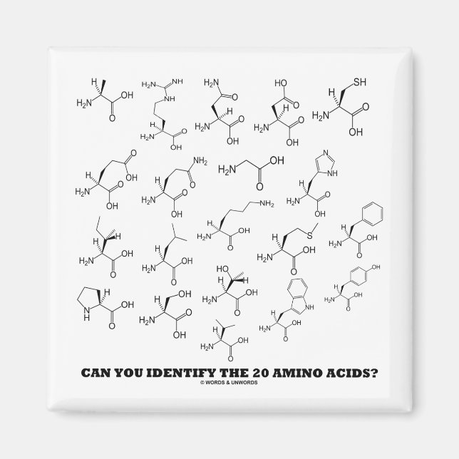 Imán ¿Puedes Identificar Los 20 Ácidos Amino? (Química) (Frente)