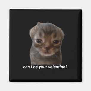 Imán ¿Puedo ser tu San Valentín Meme de gato divertido