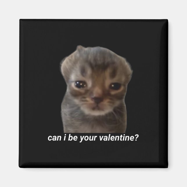 Imán ¿Puedo ser tu San Valentín Meme de gato divertido  (Frente)
