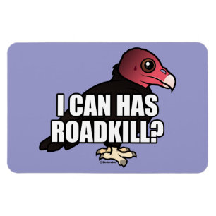 Imán ¿Puedo Tener Roadkill?