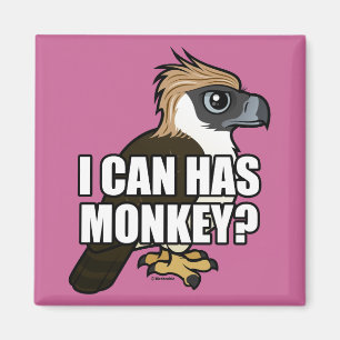 Imán ¿Puedo tengo mono?