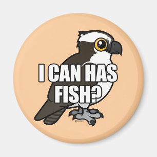 Imán ¿Puedo tengo pescados?