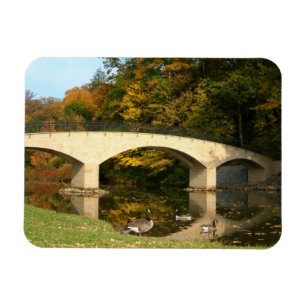 Imán Puente Arcoíris en Otoño en Grove City College