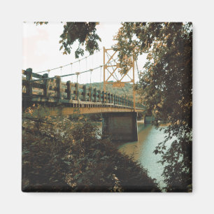 Imán puente castor en resortes eureka